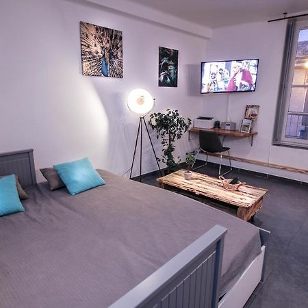 Appartement Calme Et Spacieux, Cite Et Ville A Pied, Wifi, 2 Chambres, 3 Lits Carcassonne Eksteriør billede