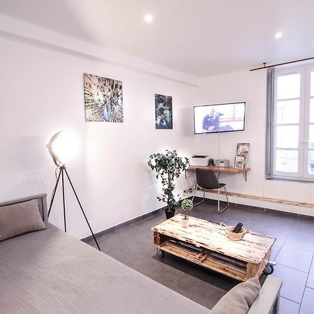 Appartement Calme Et Spacieux, Cite Et Ville A Pied, Wifi, 2 Chambres, 3 Lits Carcassonne Eksteriør billede
